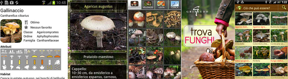 app-funghi-italia