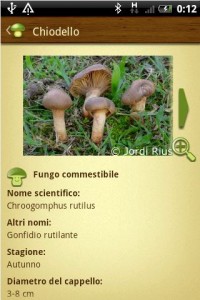 Mushtool